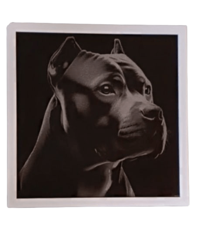 Cadre chien Staff