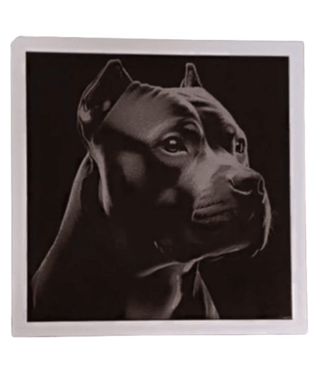 Cadre chien Staff